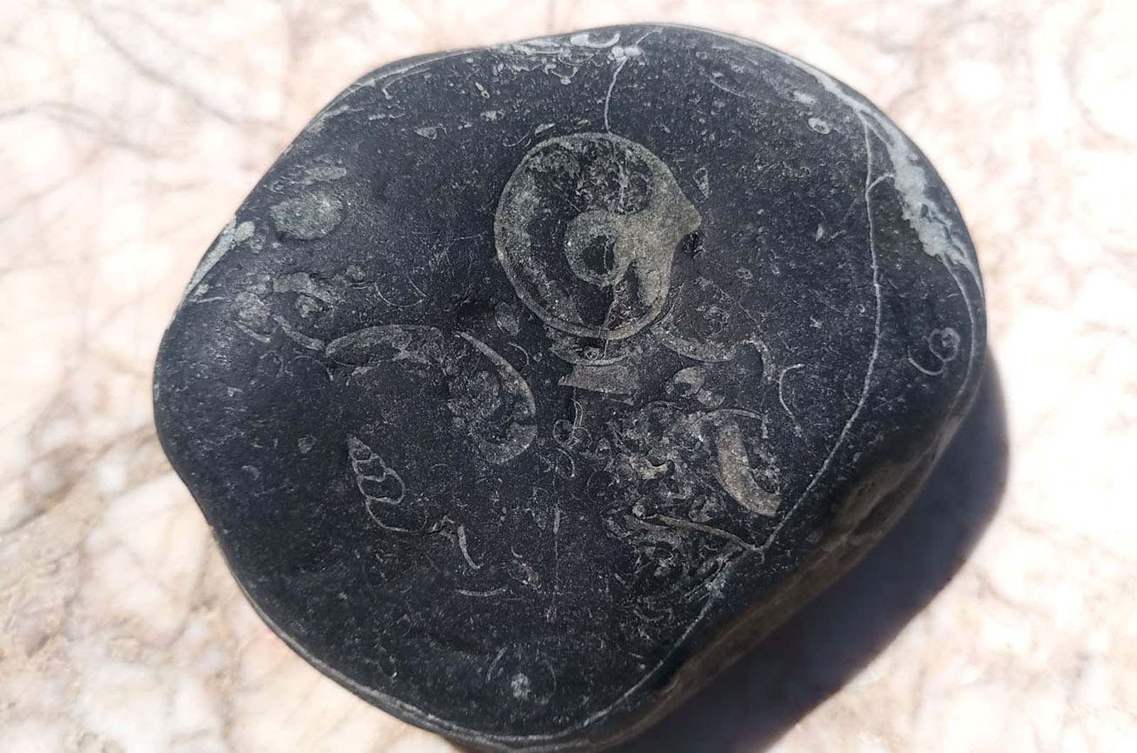Камни с отпечатками древних существ с турецкого пляжа