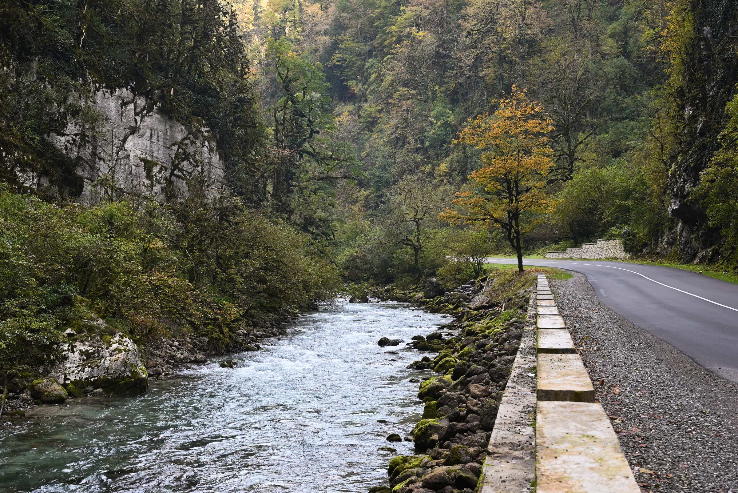 Абхазия. Рицинский реликтовый национальный парк. Юпшарские ворота.