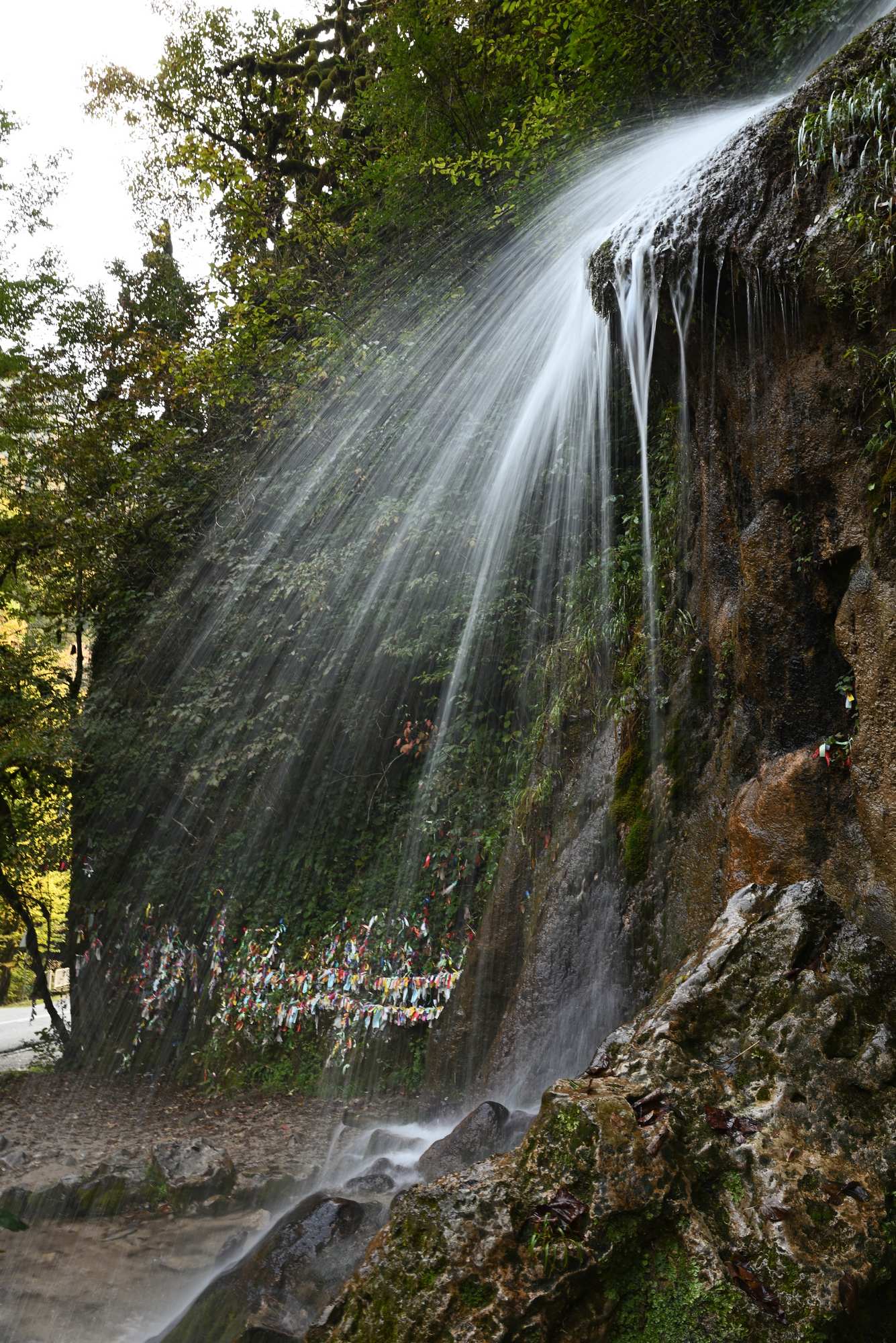 Абхазия. Рицинский реликтовый национальный парк. Водопад Мужские слёзы.