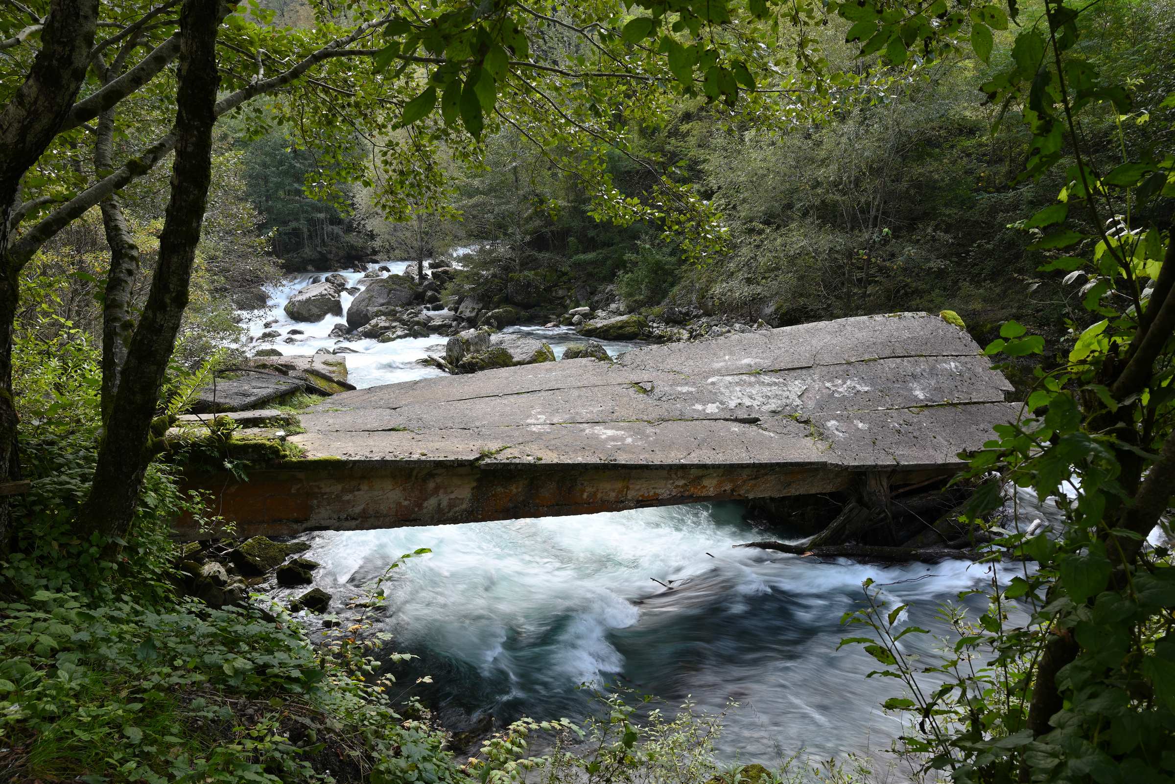 Абхазия. Рицинский реликтовый национальный парк. Остатки моста через реку Юпшара.