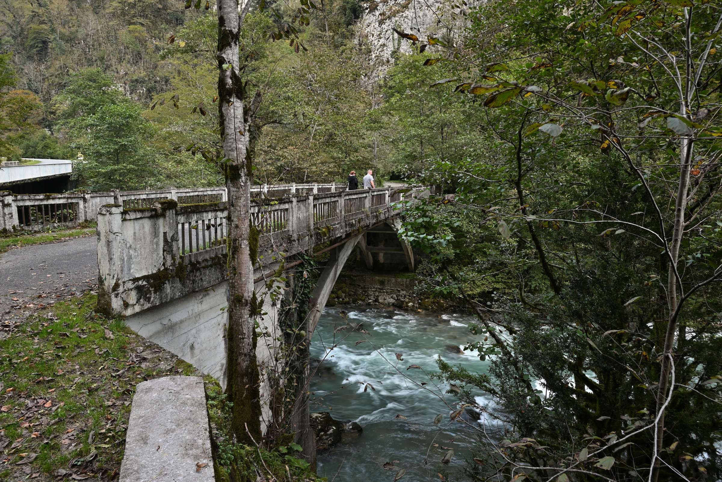 Абхазия. Рицинский реликтовый национальный парк. Старый мост через реку Гега.