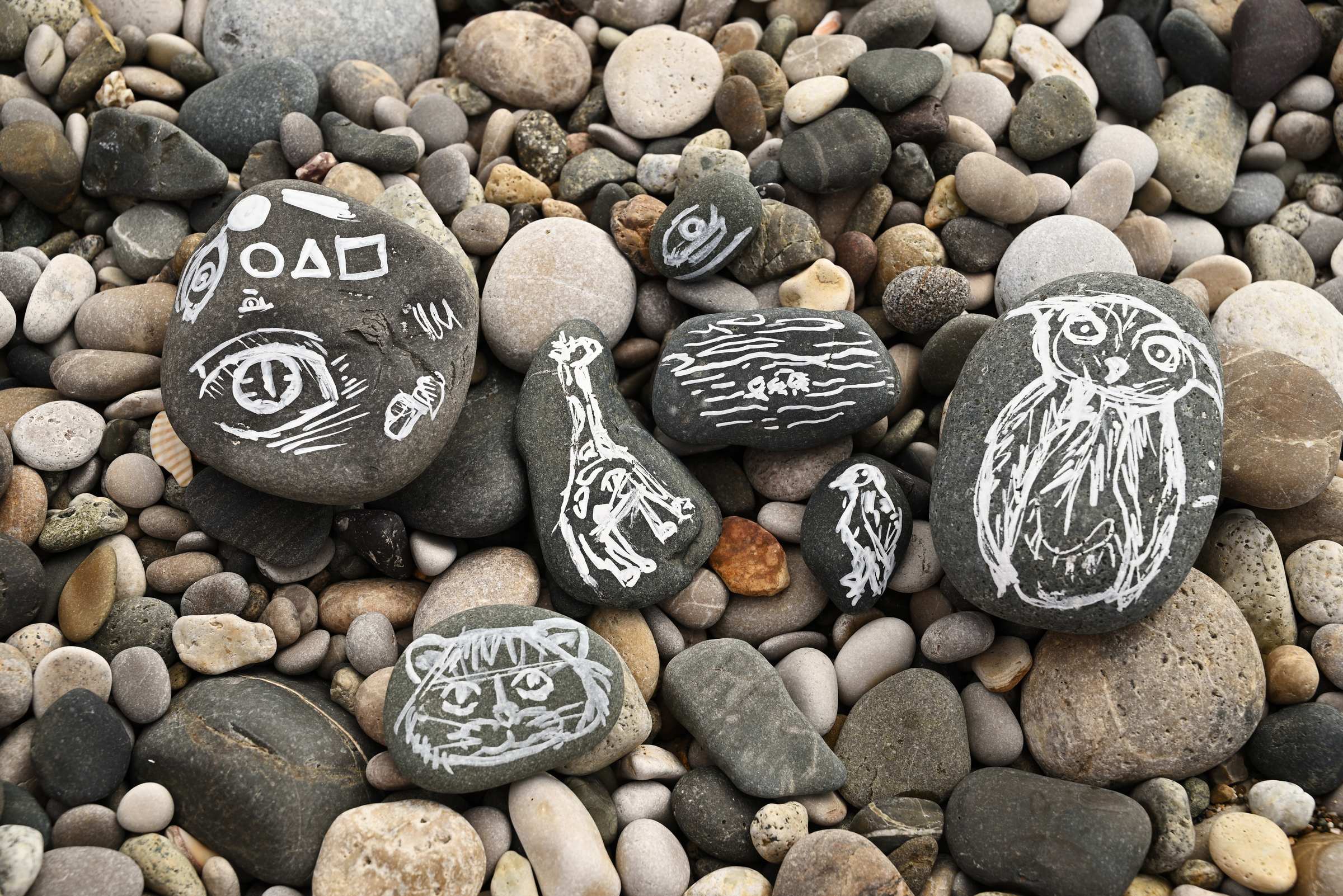 Рисунки маркером на камнях на пляже в Новом Афоне.