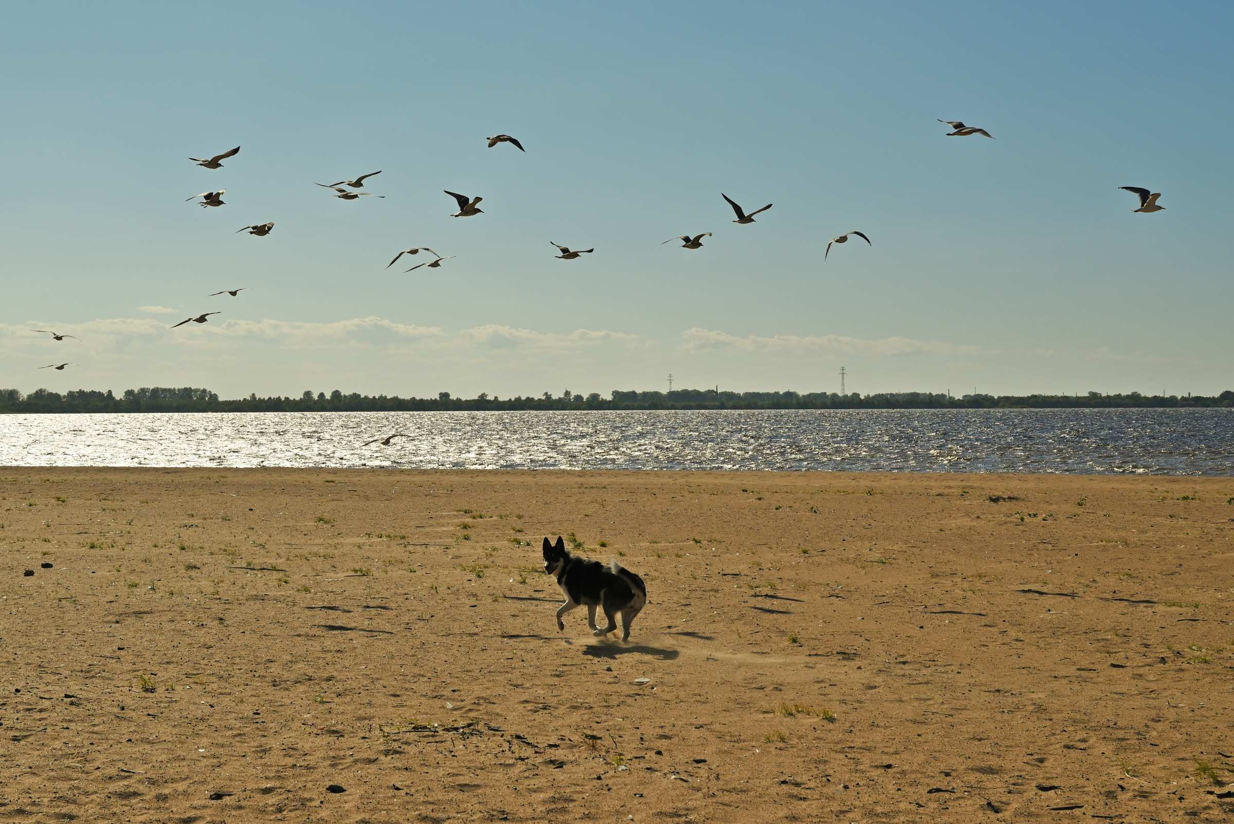 Городской пляж в Архангельске.