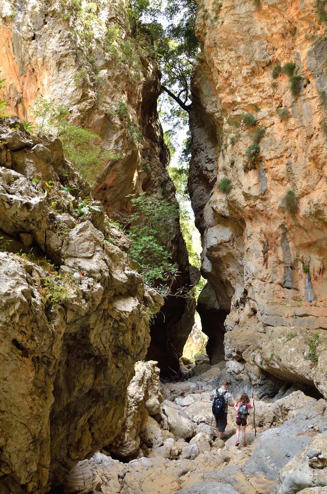 Ущелье Виландредо на Крите