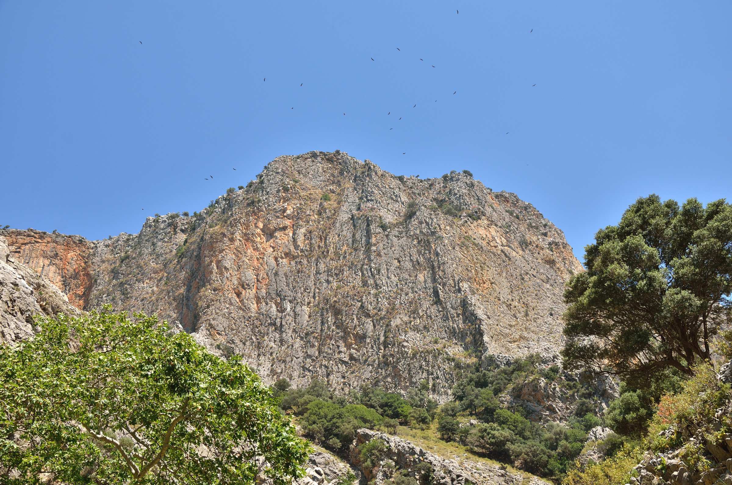 Ущелье Прассано на Крите