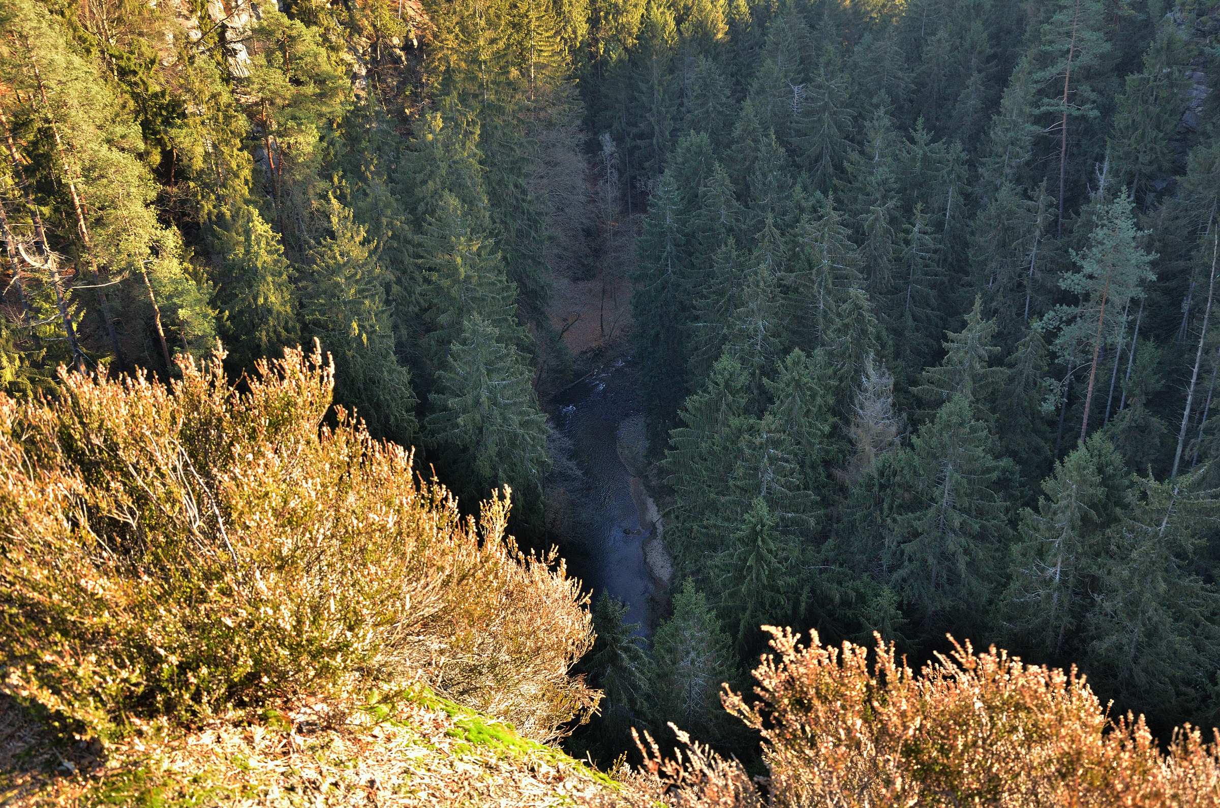 Вид на реку Каменице с вершины скалы Мельничная башня (чеш. Mlýnská věž) недалеко от Дольской мельницы (чеш. Dolský Mlýn) в Чешской Швейцарии.