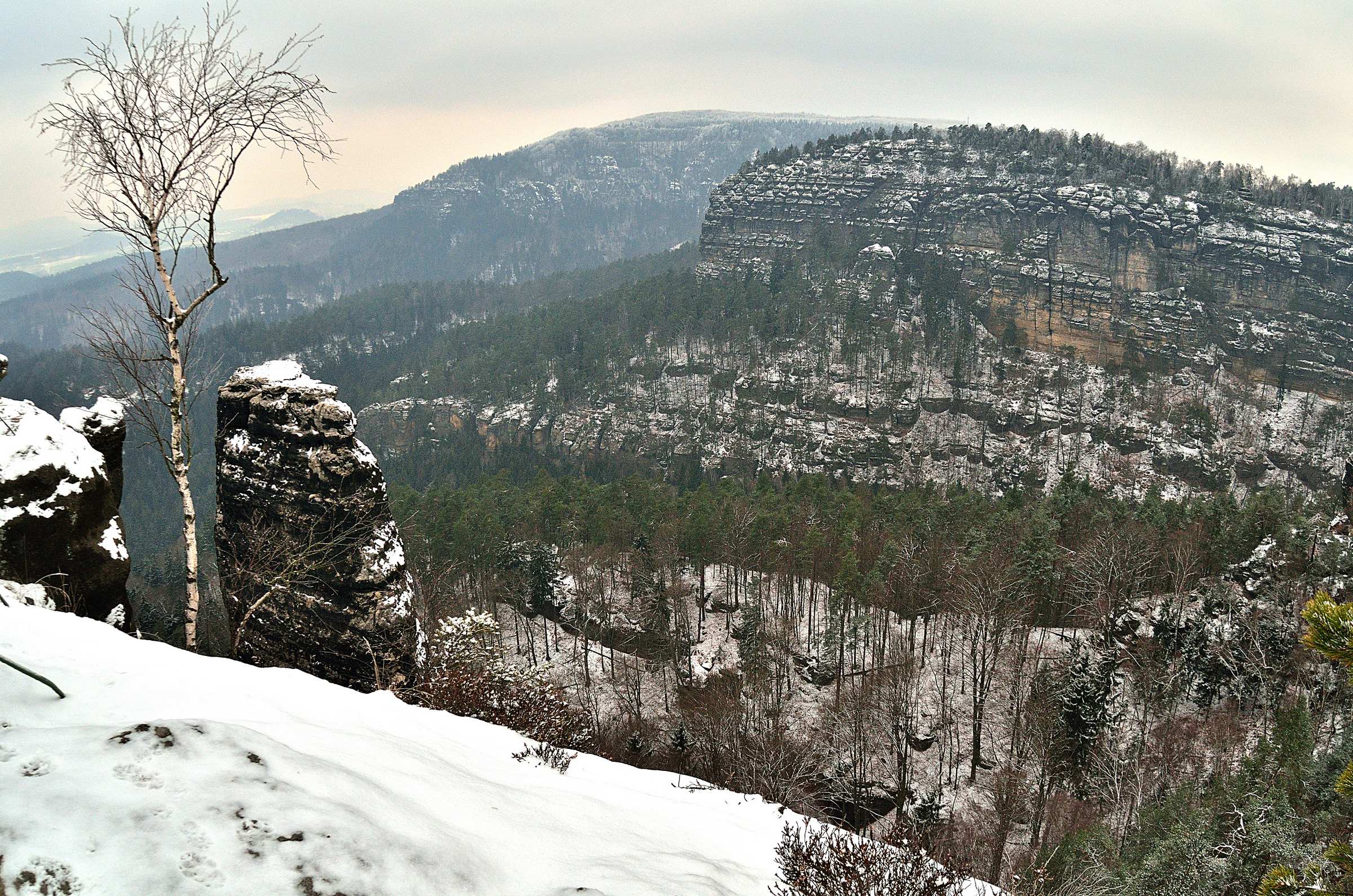 Песчаниковые скалы заповедника Чешская Швейцария у Правчицких ворот.