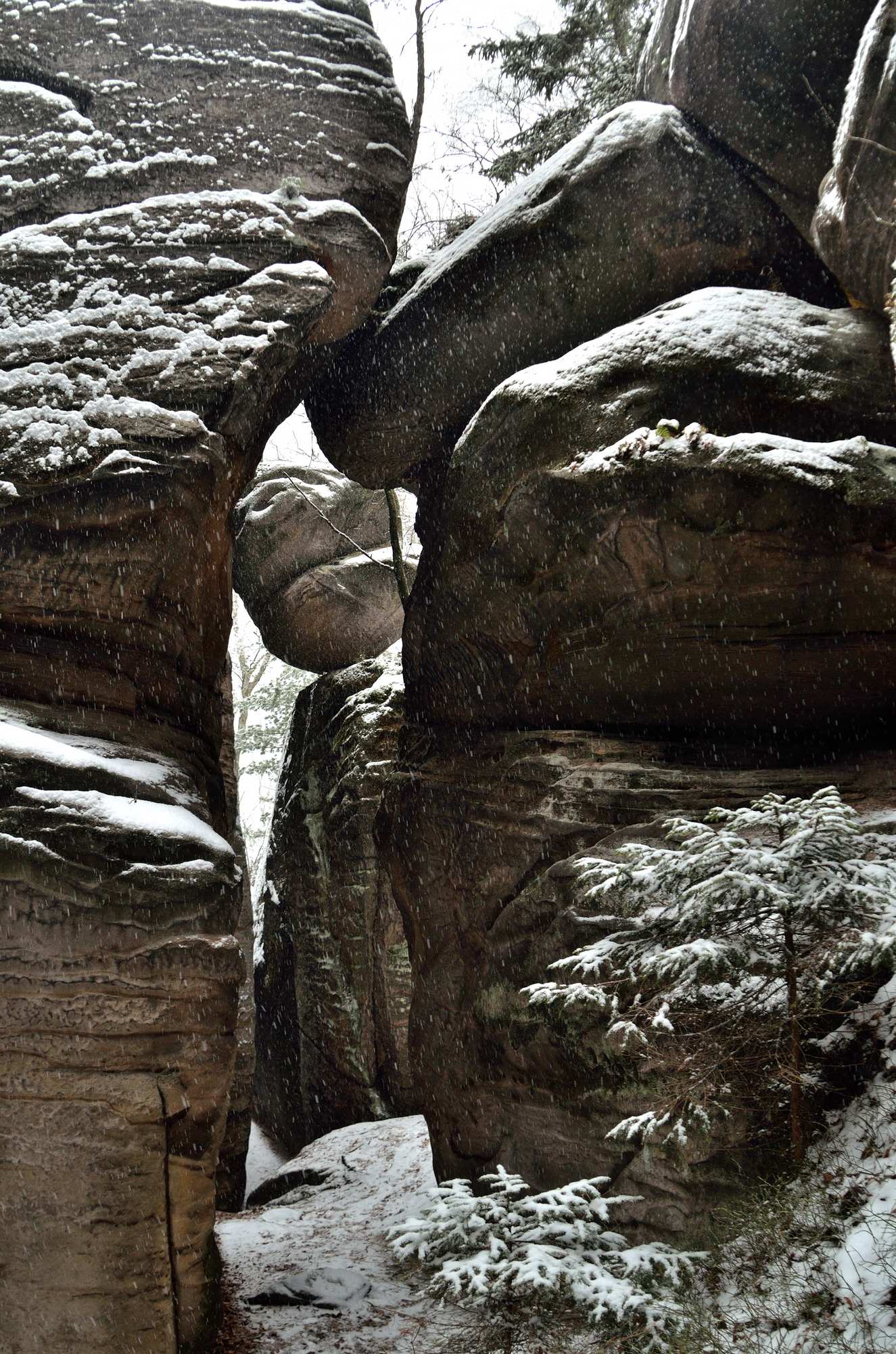 Скальный лабиринт Хлевиште в Беседицких скалах в Чешском рае