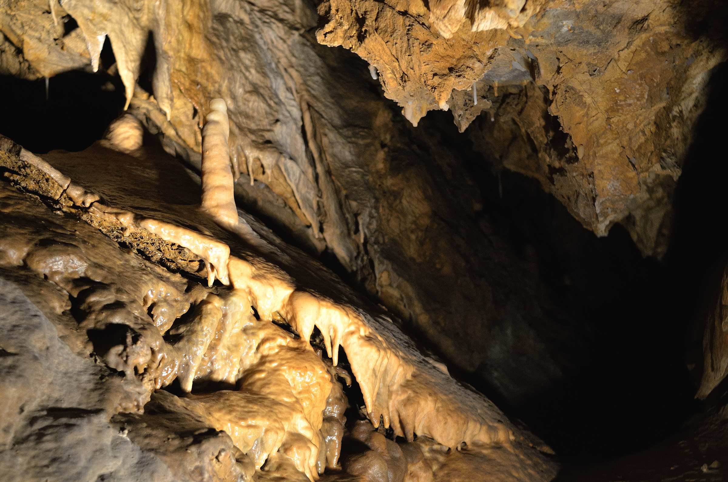 Бозковские доломитовые пещеры в Чешском рае