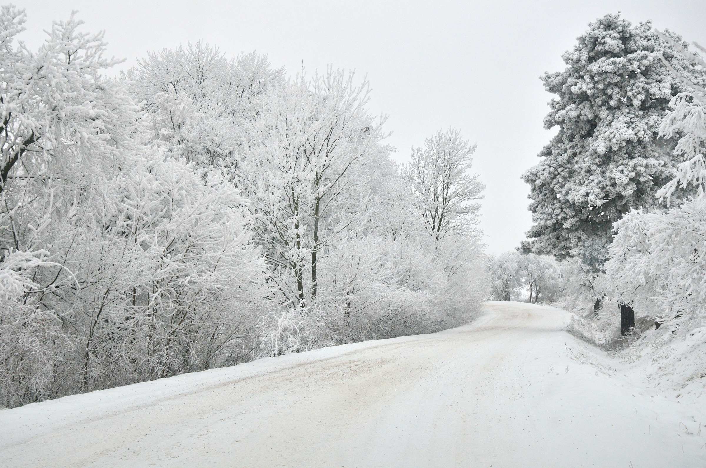 Зимняя дорога в Чешском рае