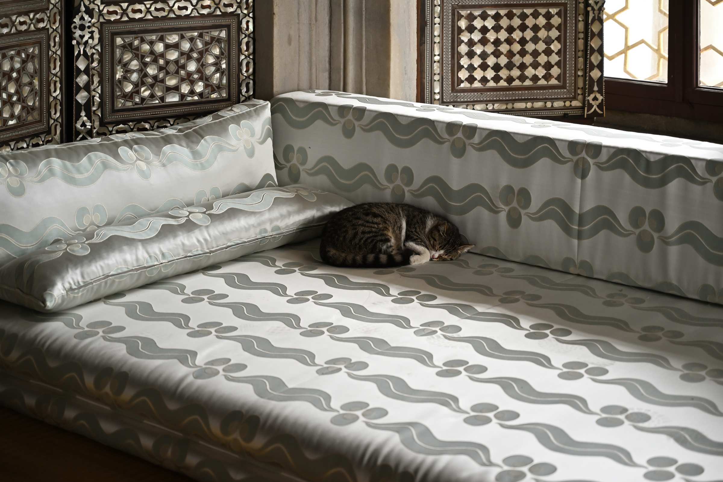 Кошка на диване в павильоне Багдад во дворце Топкапы