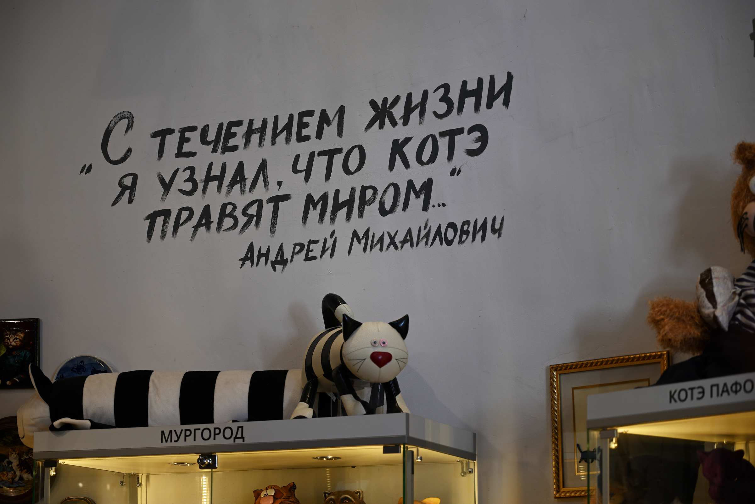 Музей кошек Мурариум в Зеленоградске