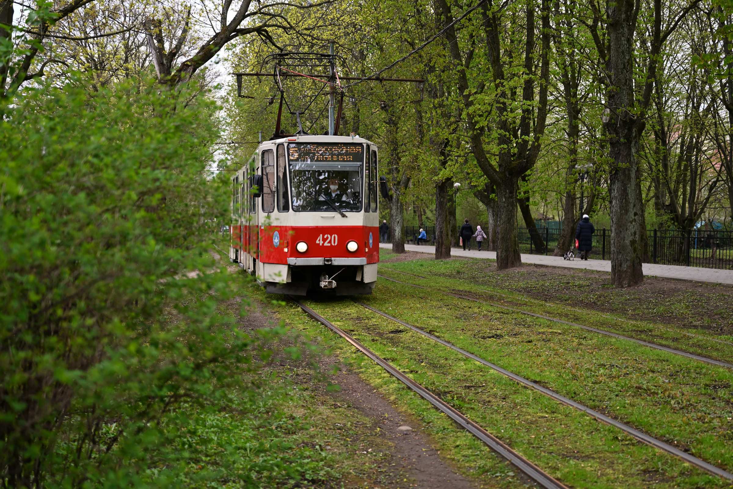 Трамвай номер 5 на остановке «Улица Красная» в Калининграде.