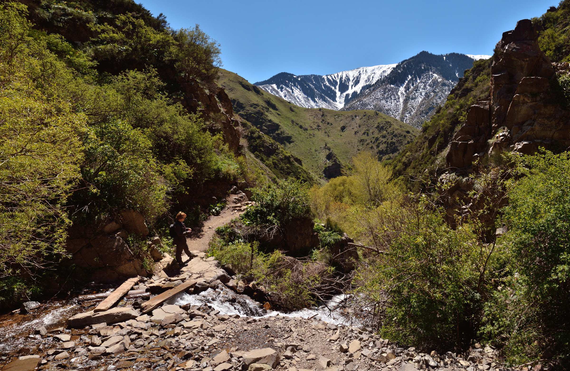 Вид на горы от водопада Медвежий в Тургеньском ущелье