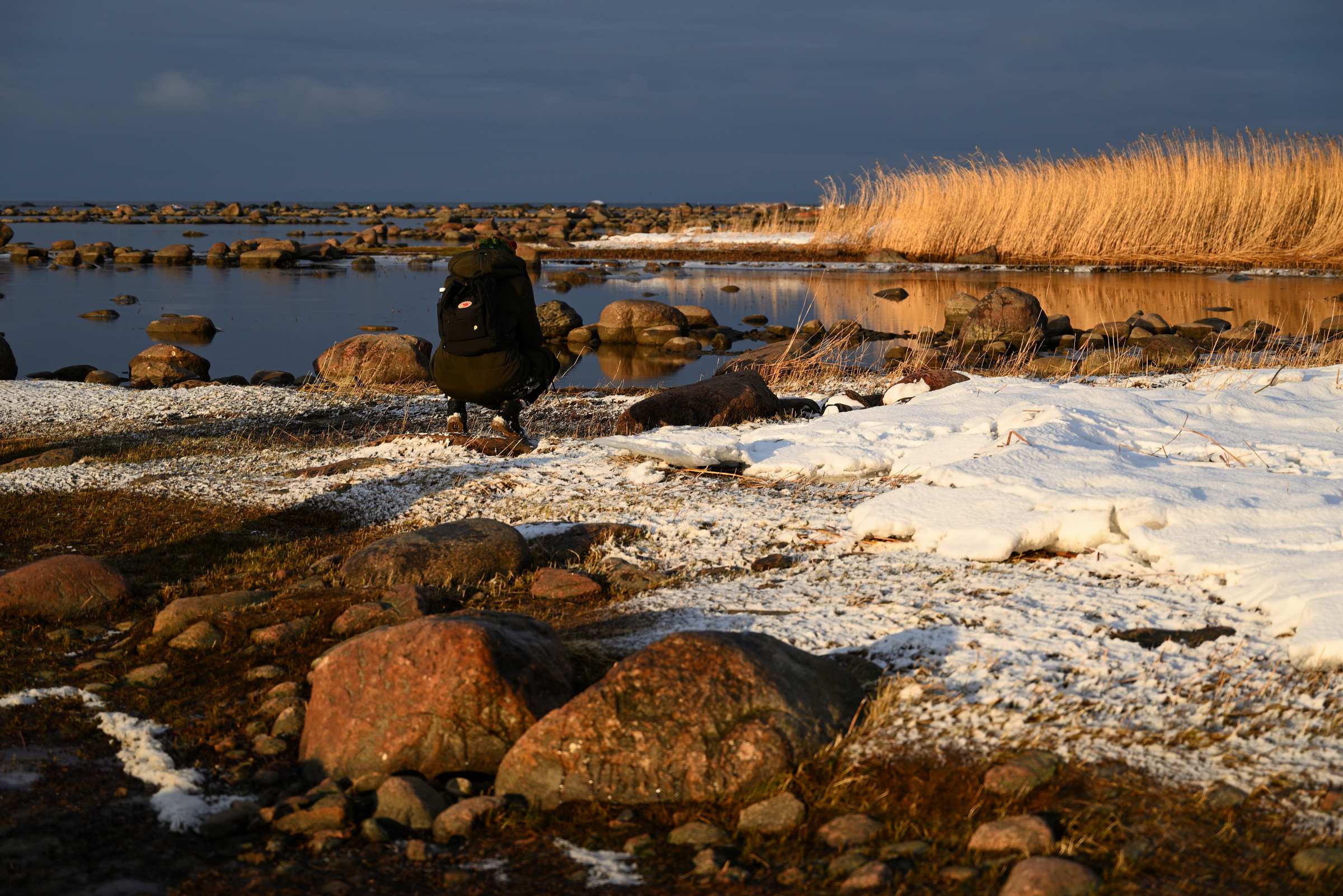 Мыс Серая Лошадь. Финский залив зимой.