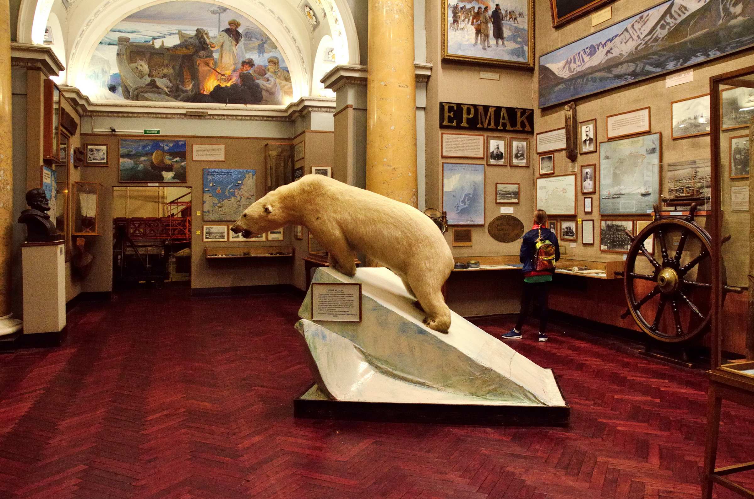 В музее Арктики и Антарктики в Санкт-Петербурге.