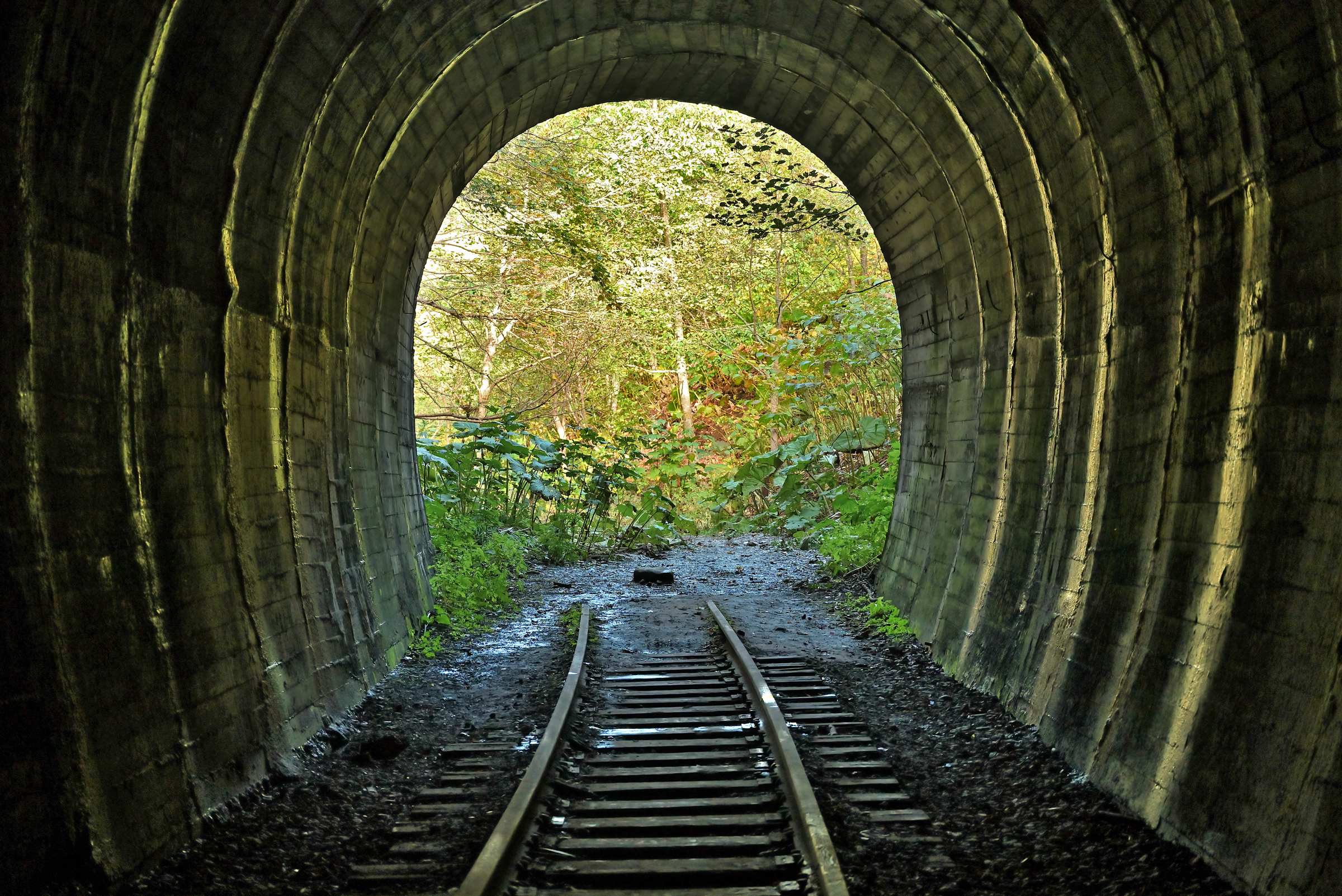 В тоннеле №13 заброшенной японской железной дороги на Сахалине.