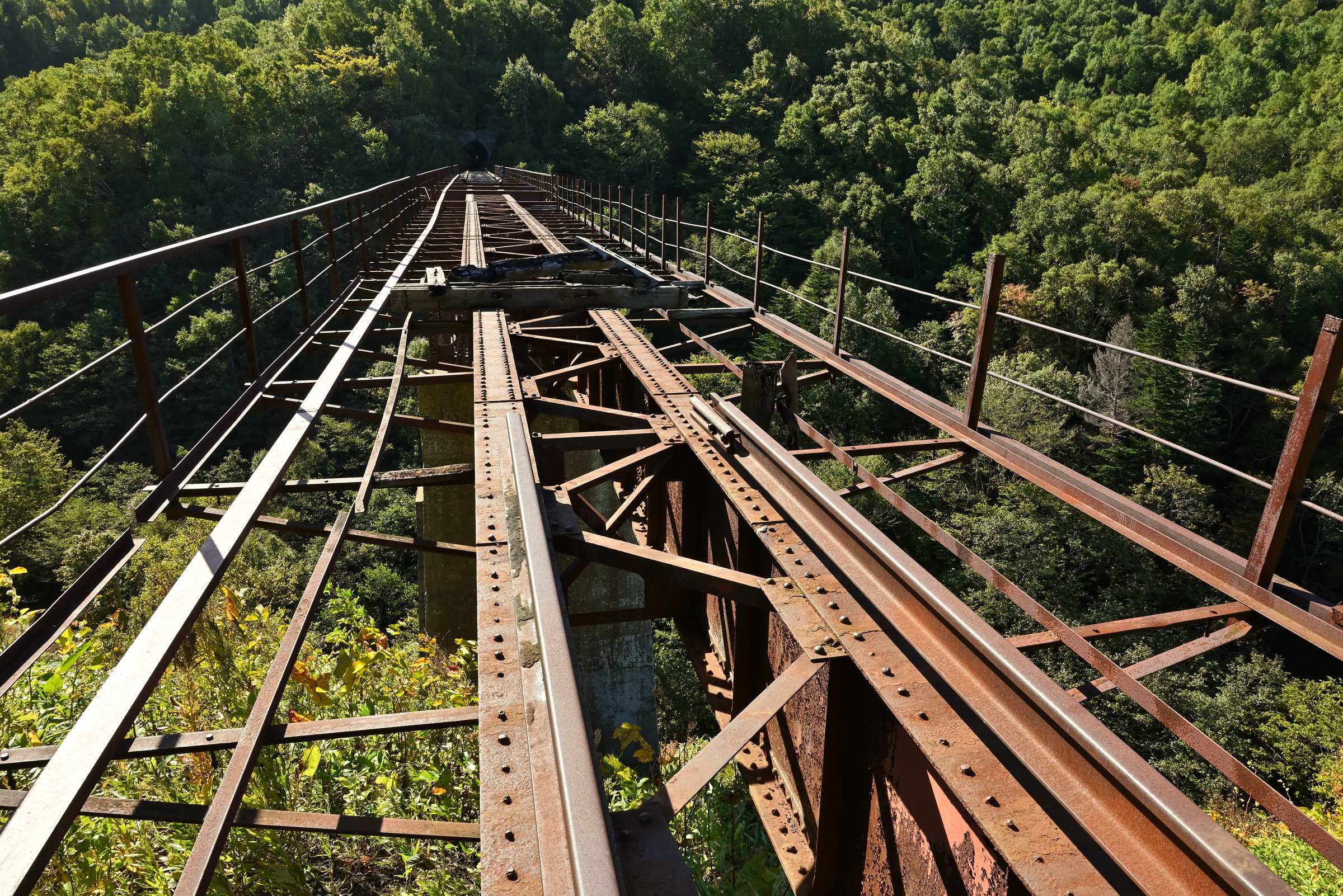 Ведьмин мост заброшенной японской железной дороги на Сахалине.