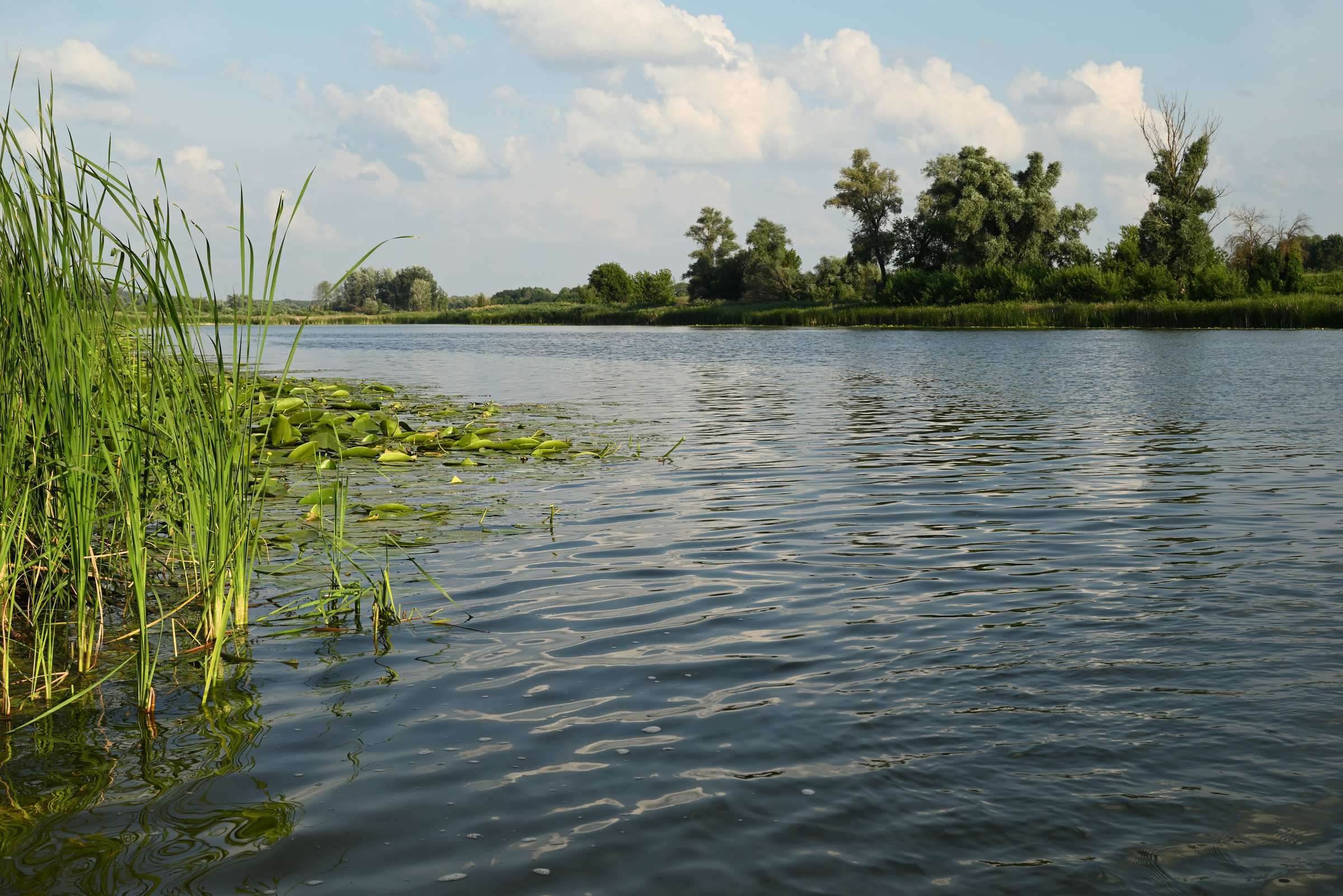 Озеро Стебное недалеко от села Аношкино